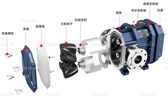 弹性体凸轮转子泵的结构与特点 弹性体凸轮转子泵的结构与特点