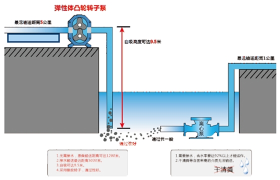 自吸转子泵示意图.jpg