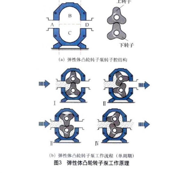 弹性图凸轮转子泵工作原理.png 弹性图凸轮转子泵工作原理.png