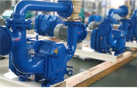 带安全阀弹性体凸轮转子泵生产定制.jpg 带安全阀弹性体凸轮转子泵生产定制.jpg