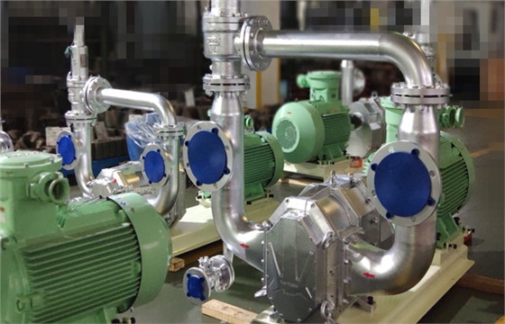炼化厂用转子泵拍摄图.jpg 炼化厂用转子泵拍摄图.jpg