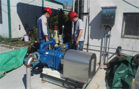 厂区抽粪泵安装调试凸轮转子泵.jpg 厂区抽粪泵安装调试凸轮转子泵.jpg