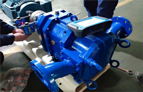 弹性体凸轮转子泵安装调试中.jpg 弹性体凸轮转子泵安装调试中.jpg