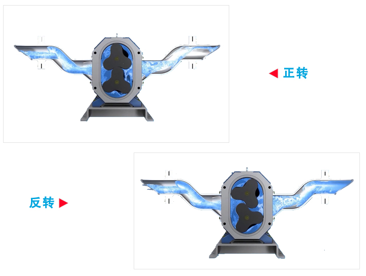 转子泵工作原理 转子泵工作原理