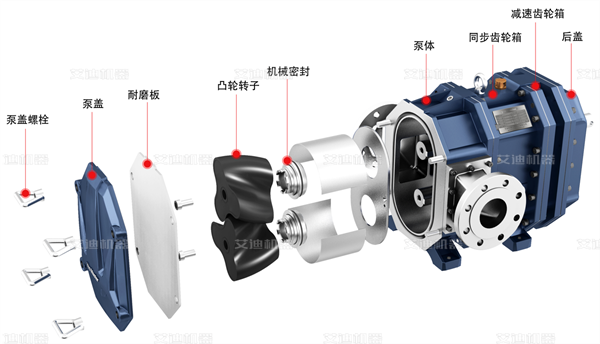 弹性体凸轮转子泵的结构与特点 弹性体凸轮转子泵的结构与特点