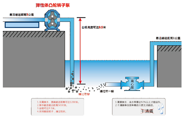 自吸转子泵示意图.jpg