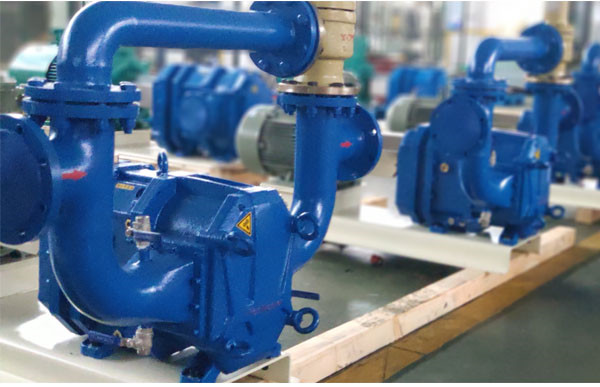 带安全阀弹性体凸轮转子泵生产定制.jpg 带安全阀弹性体凸轮转子泵生产定制.jpg