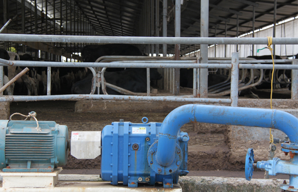 粪便泵牛场使用现场见证.jpg 粪便泵牛场使用现场见证.jpg